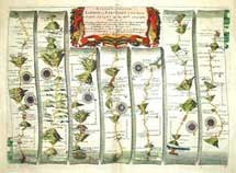 Johns maps 