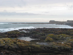 The location in the Longgate where the James Stuart [ The Old Pretender ] stayerd after he landed at Peterhead before travelling south in 1715.