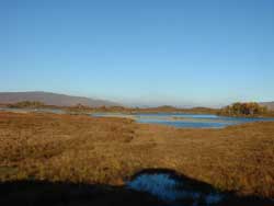 Rannoch Moor